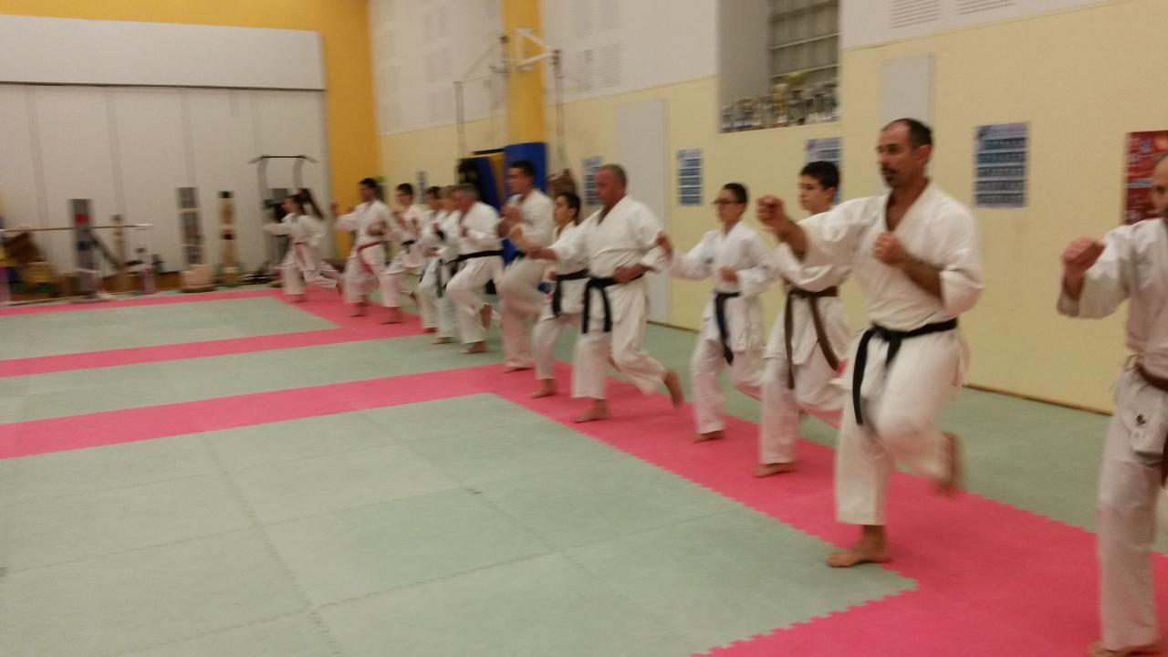 entraînement ados adultes